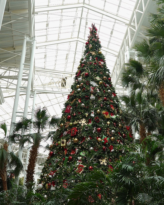 Celebrating So Much Christmas at Gaylord Opryland